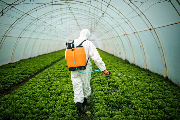 Best Ant Control Services  in Fairbanks Ranch, CA
