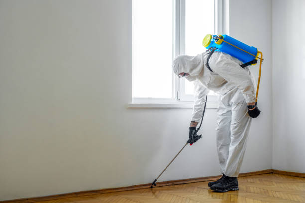 Best Local Pest Control Services  in Fairbanks Ranch, CA