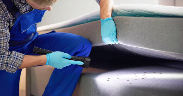 Best Residential Pest Control  in Fairbanks Ranch, CA