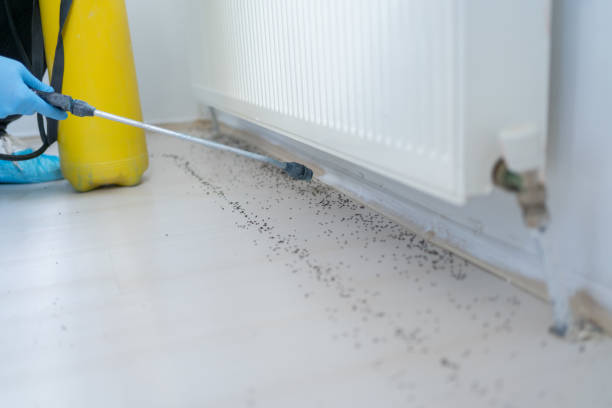Best Commercial Pest Control Services  in Fairbanks Ranch, CA